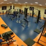 Занятия йогой, фитнесом в спортзале Чуфск Нептун Самара