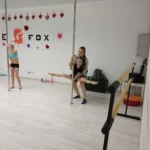 Занятия йогой, фитнесом в спортзале Dance The Fox Москва