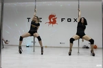 Спортивный клуб Dance The Fox