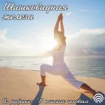 Занятия йогой, фитнесом в спортзале Dar Yoga&EMS Екатеринбург