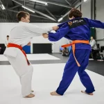 Занятия йогой, фитнесом в спортзале Davinci judo Красноярск