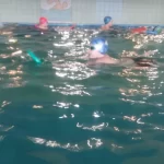 Занятия йогой, фитнесом в спортзале Дельфин, Сеть Школ Плавания Новосибирск