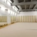 Занятия йогой, фитнесом в спортзале Desire — студия художественной гимнастики Санкт-Петербург