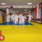 Занятия йогой, фитнесом в спортзале Детская школа Единоборств Русский Самурай Раменское