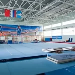 Занятия йогой, фитнесом в спортзале Детский гимнастический центр Кузнечик Звенигород