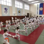 Занятия йогой, фитнесом в спортзале Детский клуб олимпийского каратэ Южный Москва