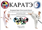 Спортивный клуб Детский клуб олимпийского каратэ Южный