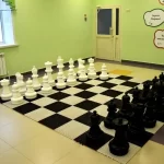 Занятия йогой, фитнесом в спортзале Детский шахматный центр Краснодар