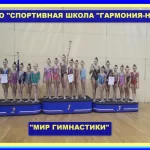 Занятия йогой, фитнесом в спортзале Детско-юношеский спортивный клуб Гармония-НВ Самара