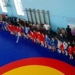 Занятия йогой, фитнесом в спортзале Детско-юношеский спортивный клуб Рекорд Красноярск