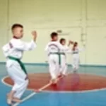 Занятия йогой, фитнесом в спортзале Детско-юношеский спортивный клуб Святогор Москва
