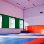 Занятия йогой, фитнесом в спортзале Dojo Волжский