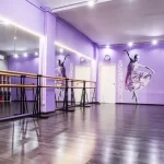 Занятия йогой, фитнесом в спортзале Domingo dance studio Дубна