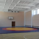 Занятия йогой, фитнесом в спортзале Дсок Надежда Волгоград