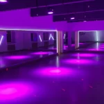 Занятия йогой, фитнесом в спортзале Duos-Dance Studio им Наталии Прониной Москва