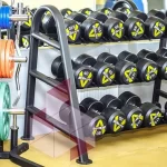 Занятия йогой, фитнесом в спортзале DynamicGym Петрозаводск