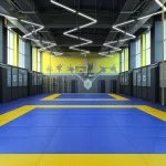 Занятия йогой, фитнесом в спортзале Дзюдо Краснодар