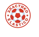 Спортивный клуб Эластико