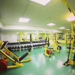 Занятия йогой, фитнесом в спортзале Емс фитнес Сестрорецк