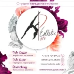 Занятия йогой, фитнесом в спортзале Esthetic-Pole Симферополь