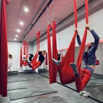 Занятия йогой, фитнесом в спортзале F_S_Lion Куровское