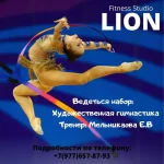 Занятия йогой, фитнесом в спортзале F_S_Lion Куровское