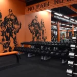 Занятия йогой, фитнесом в спортзале F_S_Lion Куровское
