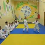 Занятия йогой, фитнесом в спортзале Family Dojo Ногинск