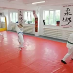 Занятия йогой, фитнесом в спортзале Федерация Айкидо Чувашской Республики Чебоксары