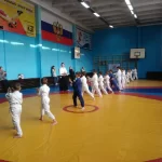 Занятия йогой, фитнесом в спортзале Федерация Айкидо Есинкан Красноярского края Красноярск