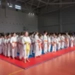 Занятия йогой, фитнесом в спортзале Федерация Кёкусинкан будо-каратэ Якутск