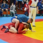 Занятия йогой, фитнесом в спортзале Федерация самбо Ярославской области Ярославль