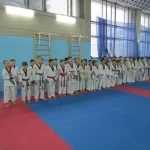 Занятия йогой, фитнесом в спортзале Федерация Тхэквондо ВТ Алтайского края Барнаул