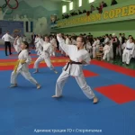 Занятия йогой, фитнесом в спортзале Федерация Восточного боевого единоборства г. Стерлитамак Стерлитамак