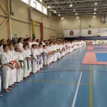 Занятия йогой, фитнесом в спортзале Федерация всестилевого каратэ Ярославль