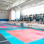 Занятия йогой, фитнесом в спортзале Федерация всестилевого каратэ Ярославль