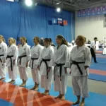 Занятия йогой, фитнесом в спортзале Федерация всестилевого каратэ России Омск