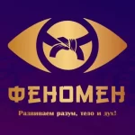 Занятия йогой, фитнесом в спортзале Феномен Новосибирск