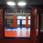 Занятия йогой, фитнесом в спортзале Ferrum Челябинск