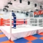 Занятия йогой, фитнесом в спортзале Fight pride Отрадное