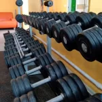 Занятия йогой, фитнесом в спортзале Fit Line Камышлов