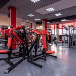 Занятия йогой, фитнесом в спортзале Fitness Division Армавир