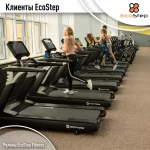 Занятия йогой, фитнесом в спортзале Физкультура для всех Новосибирск