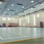 Занятия йогой, фитнесом в спортзале Физкультурно-оздоровительный комплекс Викинг Битца Москва