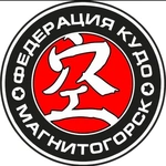 Спортивный клуб Физкультурно-спортивная общественная организация Федерация КУДО Челябинской области