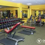 Занятия йогой, фитнесом в спортзале Flex Чита