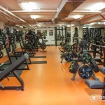 Занятия йогой, фитнесом в спортзале Flex Свободный