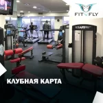 Занятия йогой, фитнесом в спортзале Fly2fly Studio Краснодар