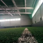 Занятия йогой, фитнесом в спортзале Footballcity Казань