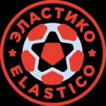 Спортивный клуб Футбольная школа Эластико